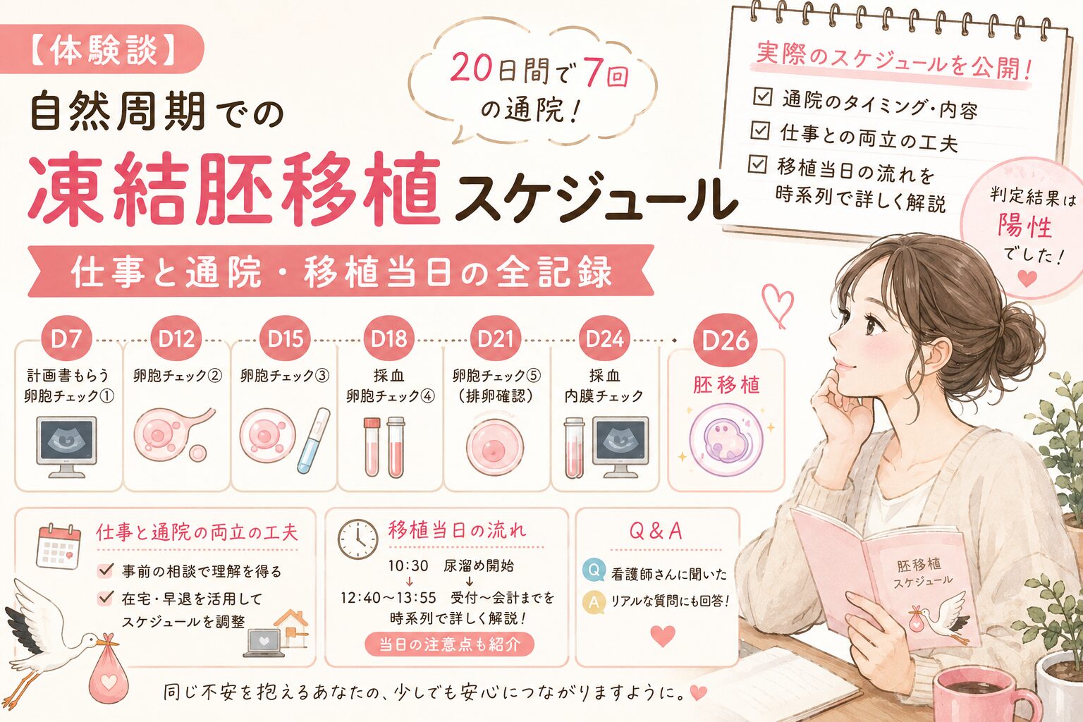 【体験談】自然周期での凍結胚移植スケジュール｜仕事と通院・移植当日の全記録